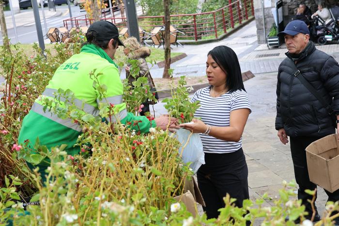 Udako loreak, kaletik etxeetara
