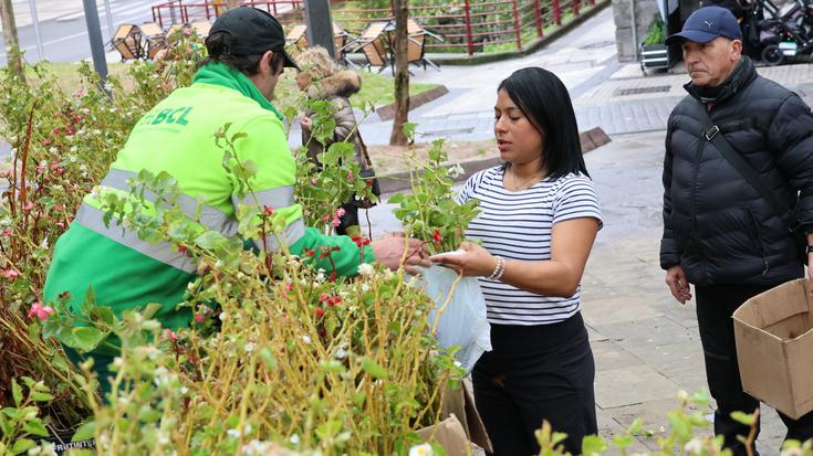 Udako loreak, kaletik etxeetara
