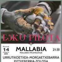 Pilota partidak