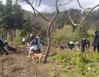 120 kilo zabor jaso dituzte Debanaturak antolatutako hondakin bilketan