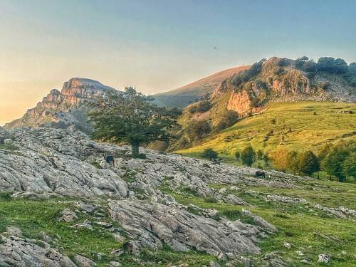 Gorbeia