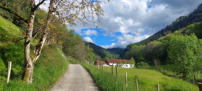 Mendaroko ibilbide osasungarrien sare berria diseinatzeko bilera