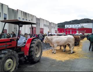 Ganadurik gabeko Itziarko Peria