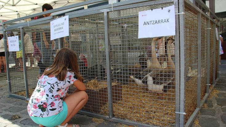Hegaztien erakusketa egin zuten azken zapatuko ferian