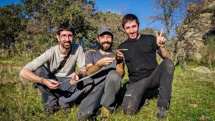 Ur putzuetako animaliak eta Katamotz iberiarra ezagutaraziko dituzte Morkaikoren hitzaldi zikloko lehen saioan