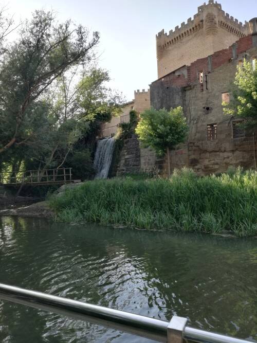 Cuzcurrita del rio Tiron (Errioxa)