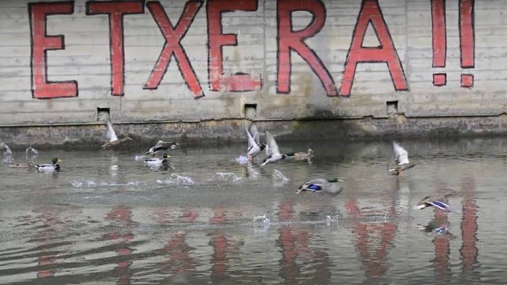 'Isladak' gaiarekin ateratako argazkien bilduma
