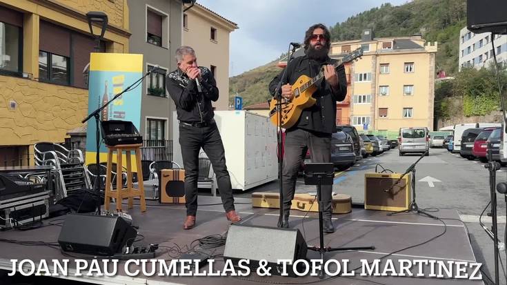 Harmonikaren domeinu erabatekoa