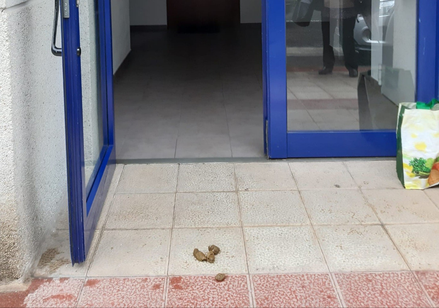 Sarri errepikatzen den irudia