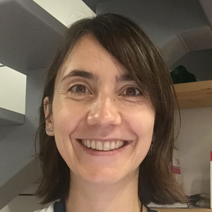 Erabiltzailearen aurpegia