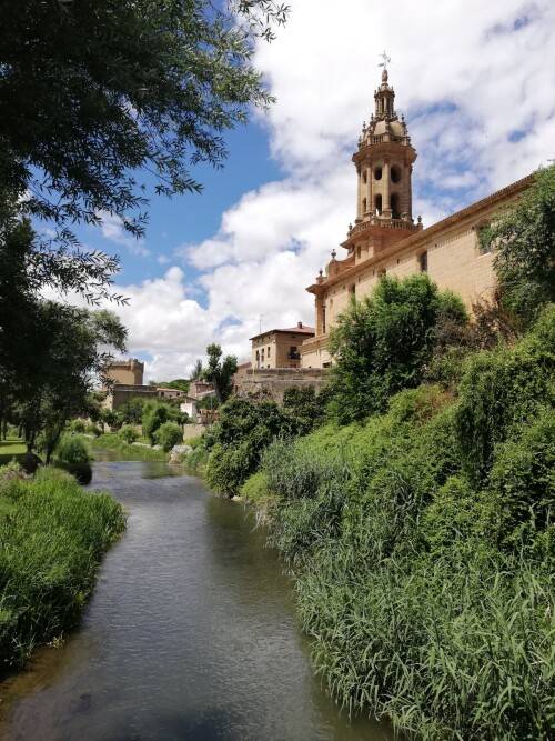 Cuzcurrita del rio Tiron (Errioxa)