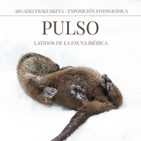 Pulso, animalien argazki erakusketa