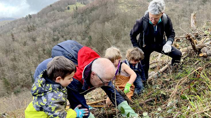 Umeentzako zuhaitz landaketa saio batekin hasiko dute domekan 'Gure Natura ezagutzen' ekimena