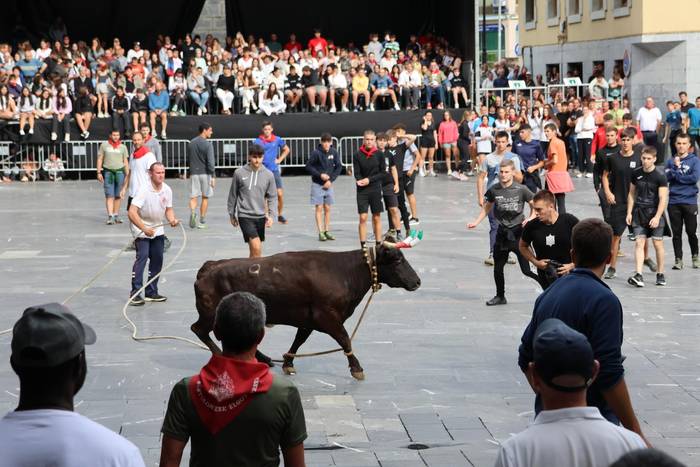 Sakak jaso du sokamuturra onenaren saria