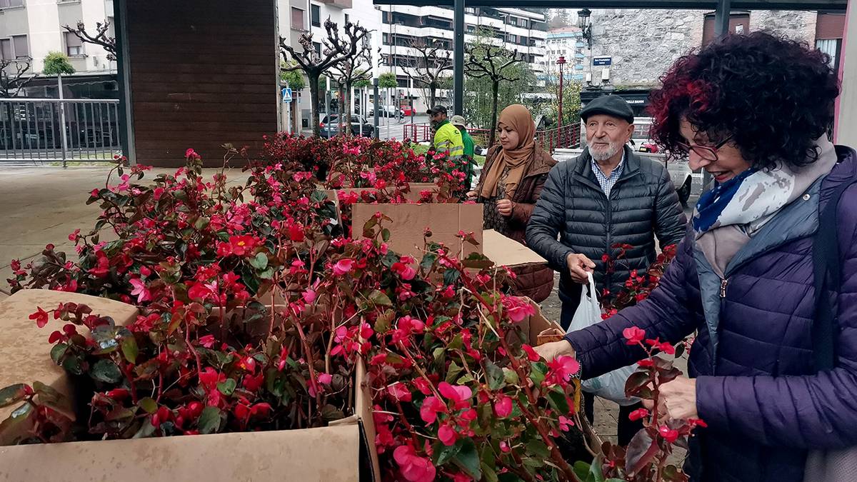 Lorategi publikoetako loreak herritarren artean oparituko ditu Udalak eguenean