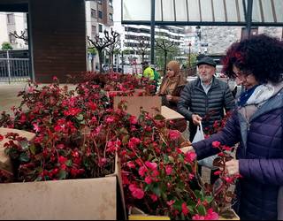 Lorategi publikoetako loreak herritarren artean oparituko ditu Udalak eguenean