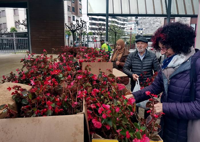 Lorategi publikoetako loreak herritarren artean oparituko ditu Udalak eguenean