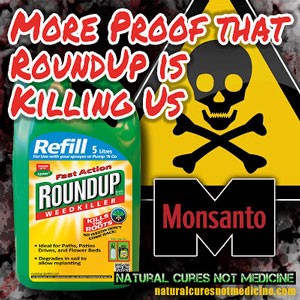 "Roundup" herbizida nire izenean ez, ez eta ez!