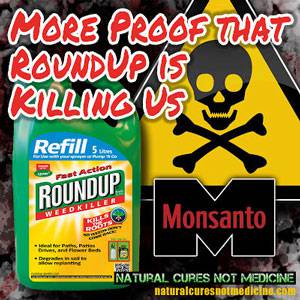 "Roundup" herbizida nire izenean ez, ez eta ez!