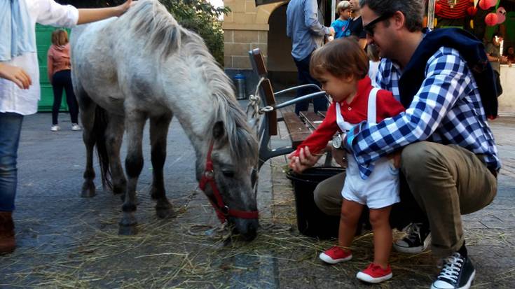 Baserri Mugikorrak girotuko du hileko azken zapatuko feria