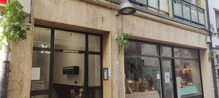 Usadio zaharrei eutsiz, lizar-adarrak jarri dituzte San Roke kaleko atarietan