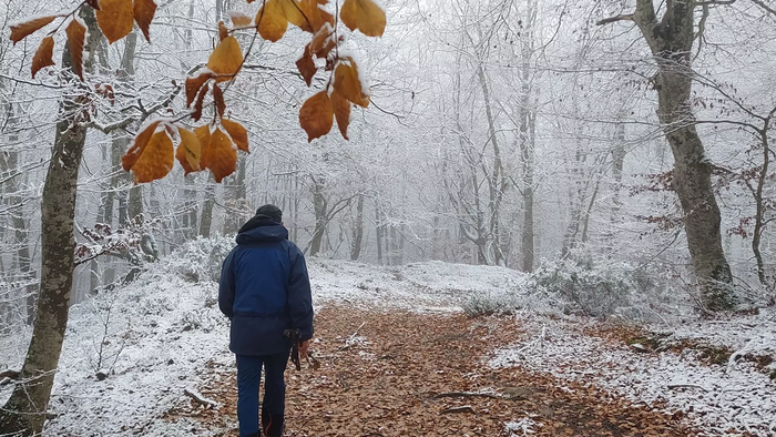 Abisu horia elurragatik, ostegunean