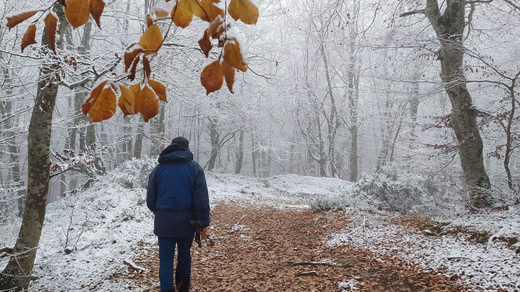 Abisu horia elurragatik, ostegunean