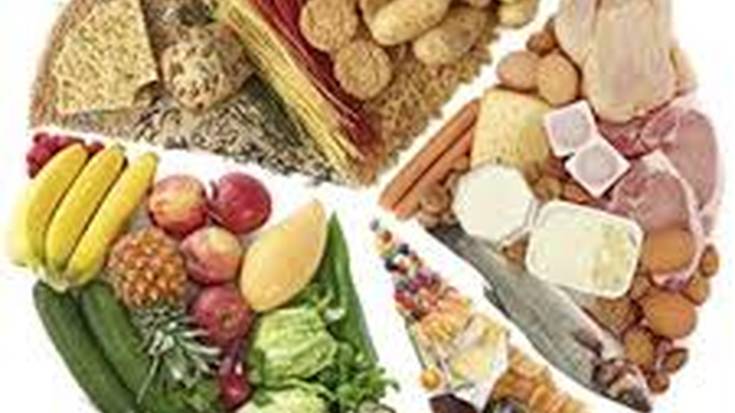 Tailerra: "Dieta orekatua"
